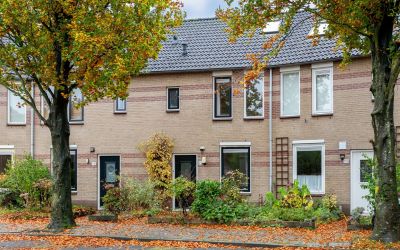 Burgemeester Fabiuspark 96