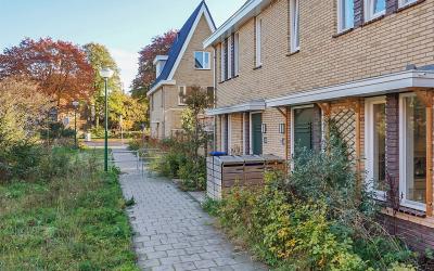 Maanzicht 11