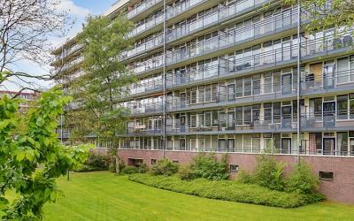 Groenlingla. 42