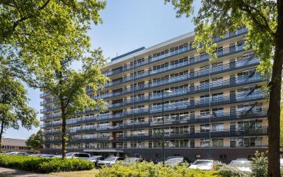 Groenlingla. 70
