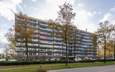 Groenlingla. 78