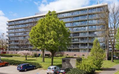Groenlingla. 112