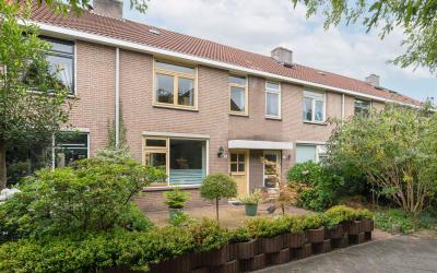 Heidevlinder 8