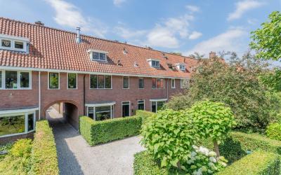Groen van P. 25