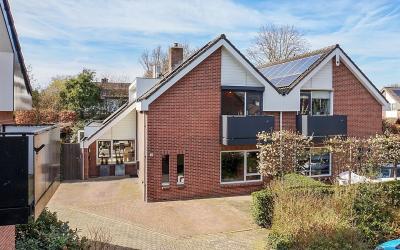 Vogelwikke 10