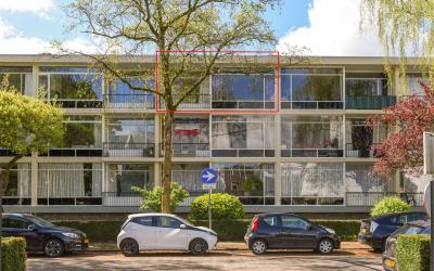 Merelhof 37