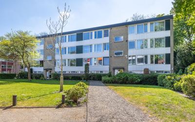 Bosstraat 54