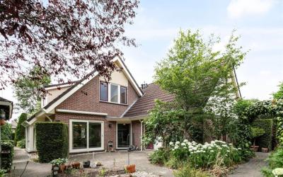 Schouw 41