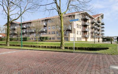 Plecht 8