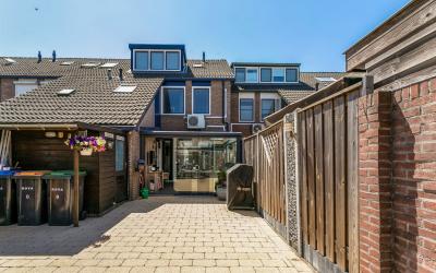 Wilde Zwaan 8