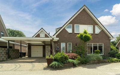 Zanglijster 19