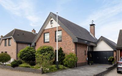 Zanglijster 47