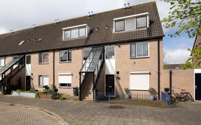 Scholekster 54