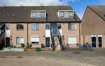 Scholekster 58