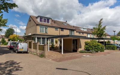 Roerdomp 1