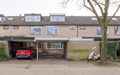 Roerdomp 26