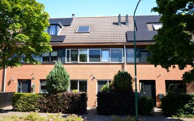Zilverschoon 20