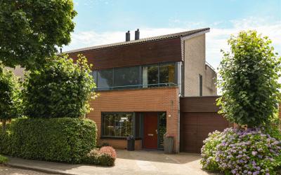 Zilverschoon 19