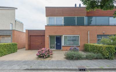 Zilverschoon 5