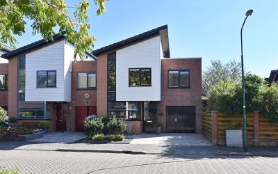 Goudhaver 47