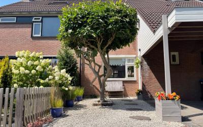 Willemserf 64