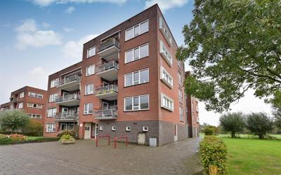 Wilgenblik 12