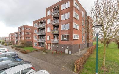Wilgenblik 6