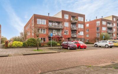 Wilgenblik 38