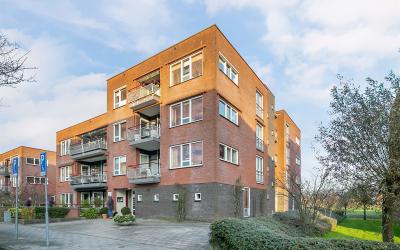 Wilgenblik 46