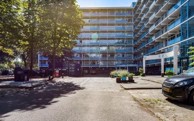 Haverweerd 175
