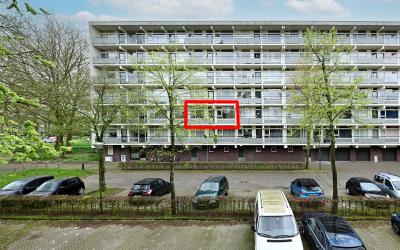 Haverweerd 38