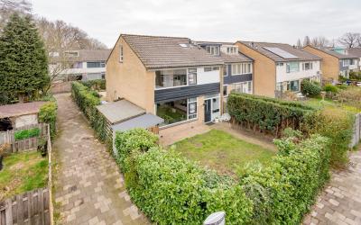 van Hamelst. 116