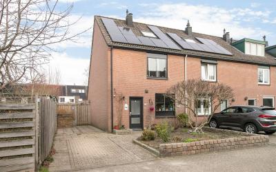 Goudwesp 1