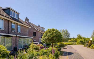 Honingbij 19