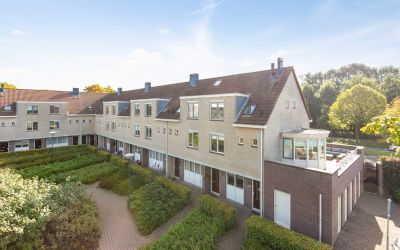 Goudvink 45