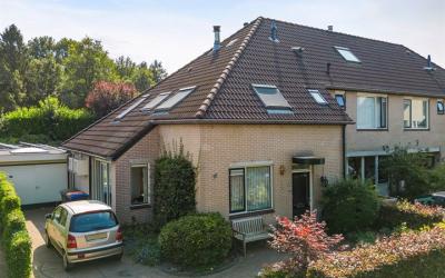 Goudvink 55