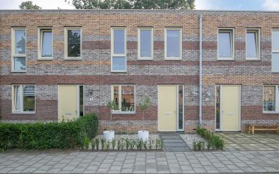 Jan Wolkers. 12