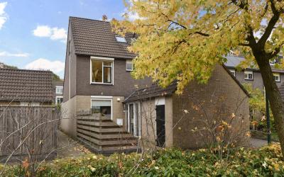 Oude Tempel. 11