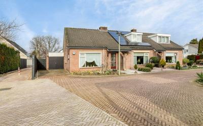 Groen van P. 11
