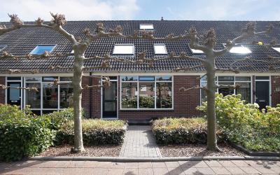 Van Renesse. 46