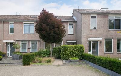 Van Ghentla. 8