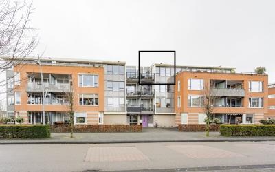 Lobeliastraat 45