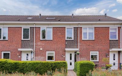Raperbeek 146