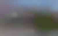 Wildzoom 21
