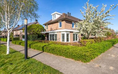 Watertuin 236
