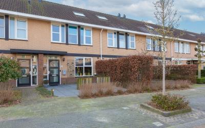Zomertuin 16