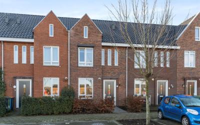 Zijdehoende. 12