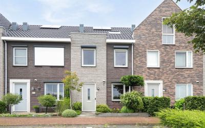 Zijdehoende. 126
