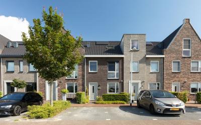 Zijdehoende. 152