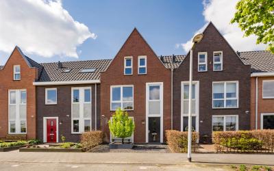 Zijdehoende. 36